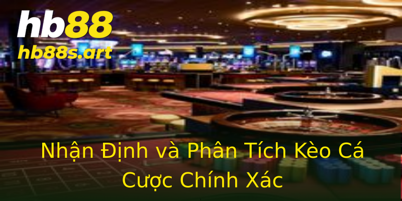 Nhận Định và Phân Tích Kèo Cá Cược Chính Xác